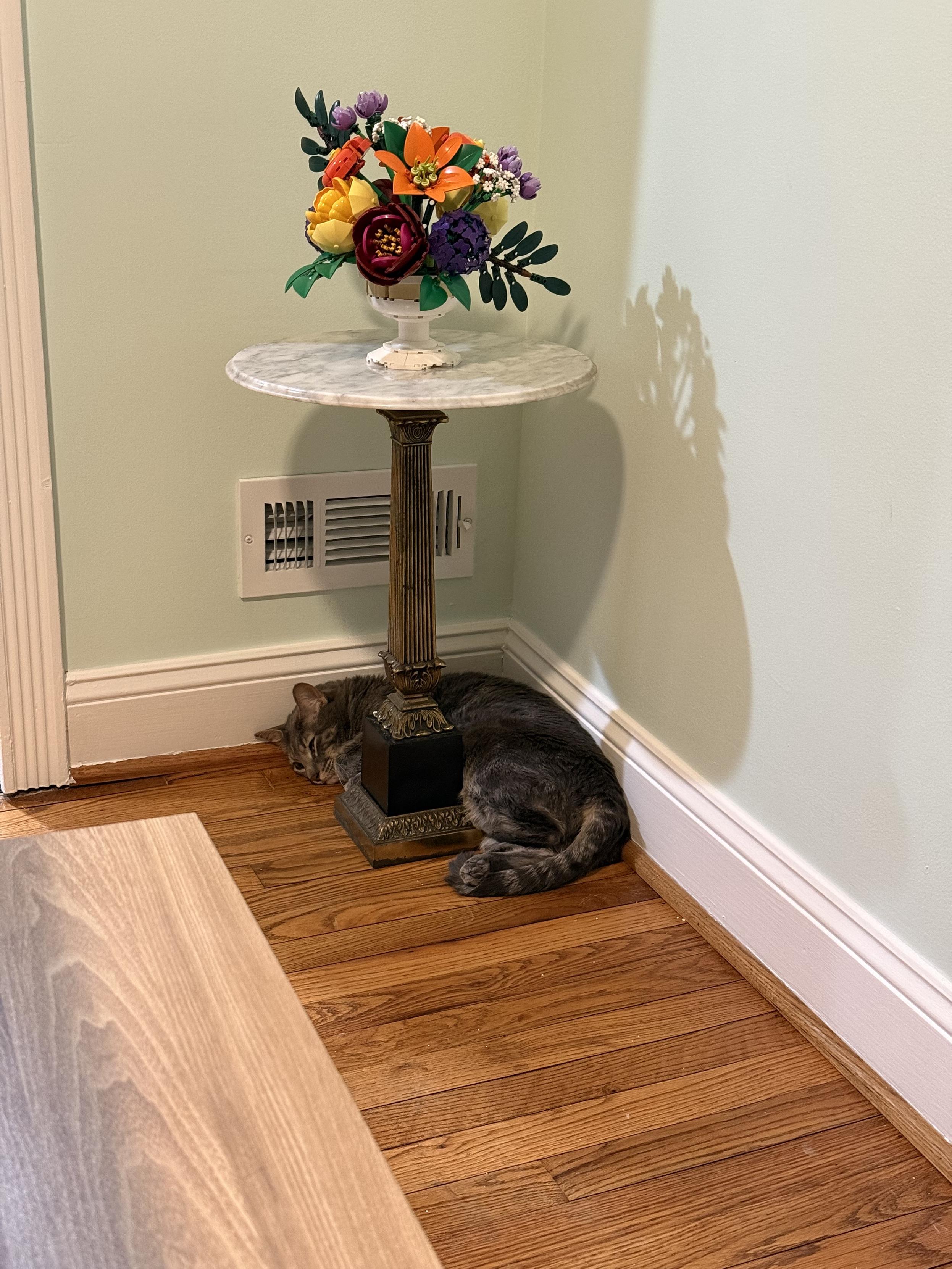 A grey tabby cat curled up around the foot of a small table next to a heating vent